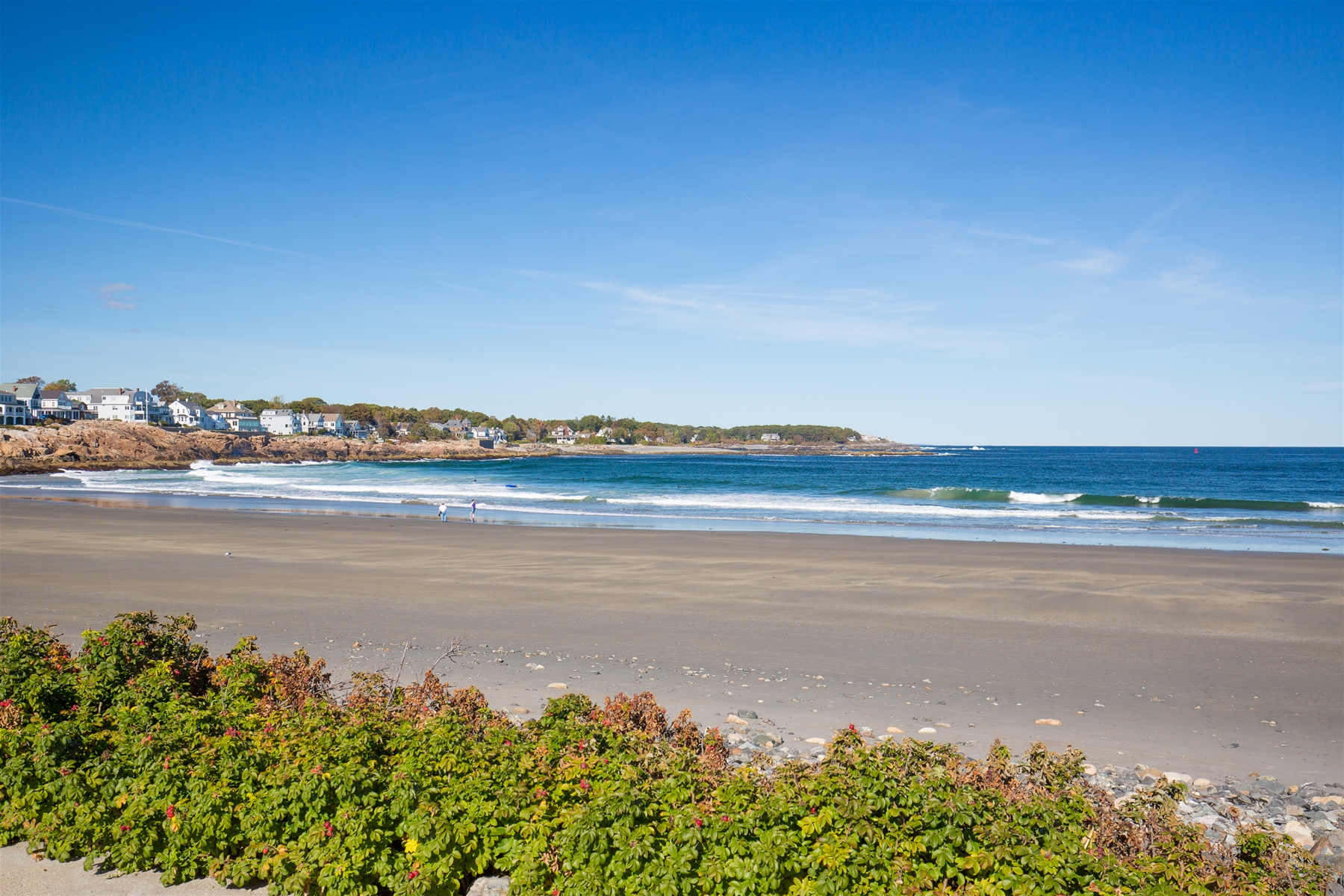 Long Sands Beach: The Best Beach in Maine for Sand Dollars